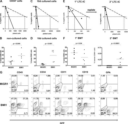 Figure 4. BMI1 overexpression results in enhanced stem-cell frequencies and elevates their self-renewal potential. Cord blood CD34+ cells transduced with MiGR1 (open symbols) and BMI1 (closed symbols) were sorted in limiting dilutions and used to enumerate LTC-IC frequencies (A) or were injected into sublethally irradiated NOD-SCID mice (n = 5 per group; B). Human CD45+ chimerism levels were determined 6 weeks after transplantation in the BM of the transplanted mice (B). (C) After transduction, GFP+ CD34+CD38− cells were sorted, cultured for 10 days in stroma-free cytokine-driven liquid culture conditions, and after which LTC-IC frequencies were determined on MS5 BM stroma in limiting dilution. (D) MiGR1 and BMI1-transduced CD34+ cells were cultured for 10 days in stroma-free conditions and 3.8 × 106 cells were injected into sublethally irradiated NOD-SCID mice (n = 5 per group). Eight weeks after transplantation, human BM engraftment was evaluated on the basis of human CD45+ expression. (E) Transduced and sorted cord blood CD34+CD38− cells were used to determine CAFC day 35 frequencies (left panel) and after 5 weeks the cultures were harvested and plated on new MS5 stroma to determine secondary LTC-IC frequencies (right panel). (F) Transduced CD34+ cells were used to perform transplantations into sublethally irradiated NOD-SCID mice (n = 5 per group) and engraftment levels after 8 weeks were determined (left panel). The BM from the primary recipients was used to perform secondary BM transplants and chimerism levels after an additional 8 weeks are shown in the right panel. (G) Multilineage engraftment of a representative mice transplanted with 10-day cultured cells is shown.