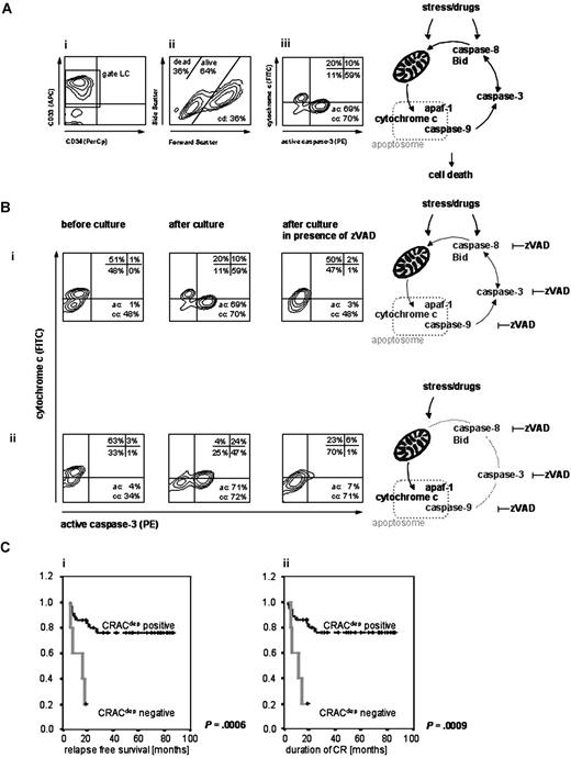 Figure 1. Quantification of apoptosis events in myeloid leukemia cells. Leukemia cells from pediatric AML patients were analyzed before and after culture with or without the caspase inhibitor zVADfmk by flow cytometry. (A) Identification of leukemia cells and analysis of cell death parameters. Leukemia cells were identified by surface markers (i: CD33 or CD34, gate LC) and further analysis was conducted gated on these cells. Cell death (cd) was estimated by forward/side scatter profile principally detecting apoptotic cells by changes of decreased volume and increased light scattering (ii). Activated caspase-3 (ac) and cytochrome c release (cc) were analyzed by simultaneous intracellular staining (phycoerythrin (PE)-conjugated anti–active caspase-3 and anti–cytochrome c 7H8.2C12 antibody, the latter followed by fluorescein-isothiocyanate (FITC)-conjugated goat anti–mouse IgG2b antibody) and quantified in the ac versus cc plot (iii). The staining was established using isotype-matched fluorochrome-conjugated unspecific antibodies. Cells with active caspase-3 were quantified as percentage of events in the upper and lower right quadrants (ac), cytochrome c release was estimated counting events in the lower left and right quadrants (cc). Because caspase-3 activation is completely caspase dependent, only the zVAD inhibitable caspase activation was considered (ac: difference of ac values after culture with and without zVAD); caspase dependent cytochrome c release (ccdep: difference of cc values after culture with and without zVAD) was discriminated from independent (ccindep: difference of cc values before and after culture with zVAD) and total cytochrome c release (cctotal, sum of ccdep and ccindep). (B) Distinct patterns of apoptosis signaling. Cytochrome c versus active caspase-3 plots for 2 patient samples showing cytochrome c release dependent (i) or independent (ii) on upstream or amplifier caspases such as caspase-8, resulting in positive (i) or negative (ii) CRACdep values. (C) Treatment outcome in different patient groups according to CRACdep. Superior relapse-free survival (i) and superior continuing remission (ii) of CRACdep-positive pediatric AML patients. Kaplan Meier analysis, P indicates significance.