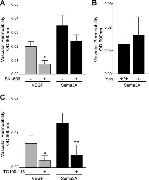 Figure 5. Induction of permeability by Sema3A is Src independent, but is blocked by PI3Kγ/δ inhibition. (A) Treatment with the Src family kinase inhibitor SKI-606 (5 mg/kg intraperitoneally) prior to injection with Sema3A, VEGF, or PBS significantly inhibits VEGF- but not Sema3A-mediated VP (n = 10, *P < .05). (B) Yes+/+ and Yes−/− mice show similar VP response when injected with Sema3A or PBS (n = 8). (C) Sema3A- and VEGF-induced VP depends on PI3Kγ/δ as determined by treatment of mice with the PI3Kγ/δ inhibitor TG100–115 (5 mg/kg intraperitoneally) prior to injection with Sema3A, VEGF, or PBS (n = 5, *P < .05, **P < .01). Error bars represent SEM.