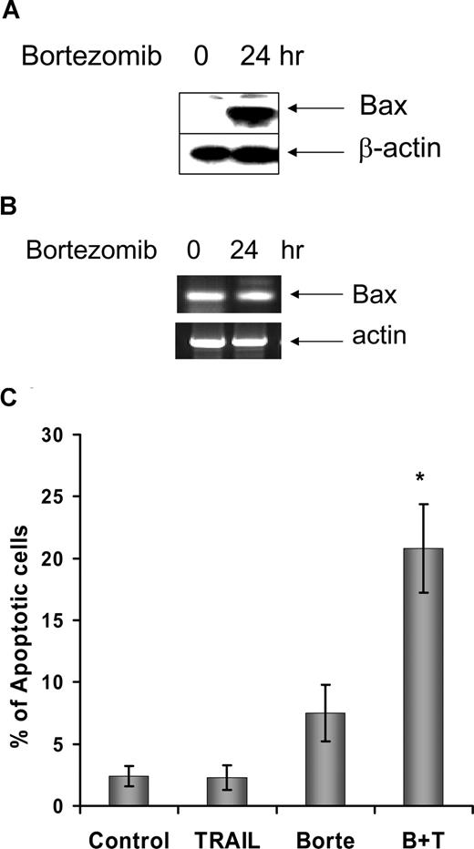 Figure 3. Bortezomib-induced Bax protein accumulation in DHL-4 cells. DHL-4 cells were treated with 100 nM/L bortezomib for 24 hours. Cells were collected for protein and mRNA extraction. (A) Bax protein expression was determined with Western blotting. Anti-Bax antibody 2D2 was used at 1:1000 dilution. Anti–β-actin antibody was used at 1:10 000 dilution. (B) Bax or actin mRNA was determined by RT-PCR. (C) TRAIL and bortezomib-induced apoptosis in the DHL-4 cell line. After DHL-4 cells were incubated with or without 100 nM/L bortezomib for 24 hours, cells were incubated with (B + T) or without 500 ng/mL TRAIL (Borte) for another 24 hours. Significantly increased sensitivity (P < .0001; t test) of cells treated with bortezomib and TRAIL was seen compared with cells treated with bortezomib or TRAIL alone. B + T indicates bortezomib plus TRAIL; and error bars, SD.