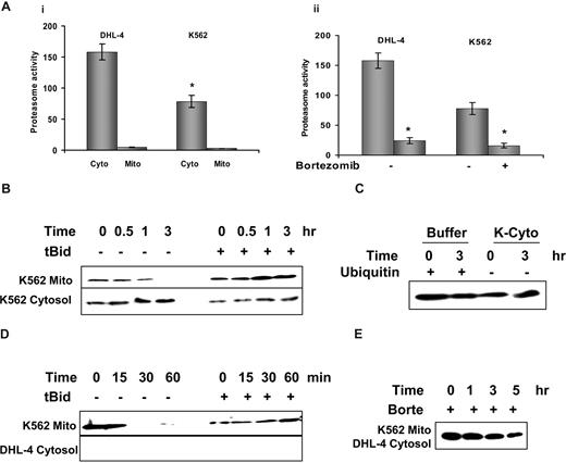 Figure 4. Prevention of Bax degradation by tBid at the mitochondrial level. (A) Determination of proteasome activity. (Ai) Proteasome activity was measured in both cytosol (Cyto) and mitochondrial (Mito) fractions in the absence of ubiquitin. *Significantly different proteasome activities (P < .0001) between DHL-4 and K562. (Aii) Inhibition of proteasome activity by bortezomib. Bortezomib (70 nM) was added to the Cyto (5 μg/μL protein) 1 hour before the reaction. Data shown were from 3 separate experiments. *Significant inhibition (P < .0001; t test). (B) Mito Bax degradation in K562 Cyto. K562 Mito were incubated with K562 Cyto in the presence of ubiquitin. Mito were mixed with Cyto according to a protein ratio of Mito/Cyto of 1:2 and incubated at 30°C for 3 hours. Bax degradation was monitored in the presence or absence of 10 nM tBid. Bax protein levels were detected by Western blotting for both Mito and Cyto. (C) K562 Mito were either incubated in the degradation buffer containing ubiquitin or in the K562 Cyto without ubiquitin for 3 hours. Bax protein levels were examined in the Mito fraction. (D) Mito Bax degradation in the DHL-4 Cyto. Mito were isolated from the K562 cells. Cyto was extracted from DHL-4 cells. In this assay, ubiquitin were omitted to test whether the DHL-4 Cyto has a higher Bax degradation activity. Mito were mixed with Cyto according to a protein ratio of Mito/Cyto of 1:2 and incubated at 30°C for up to 60 minutes in the presence or absence of 10 nM tBid. Bax protein levels were detected by Western blotting for both Mito and Cyto. (E) Bortezomib prevents Bax degradation. DHL-4 cells were treated with 100 nM bortezomib for 24 hours, and its Cyto was mixed with K562 Mito and incubated at 30°C for 5 hours. Mito Bax levels were then determined by Western blotting after separation from Cyto. Bax antibody (clone 2D2) was used for the Western blotting.
