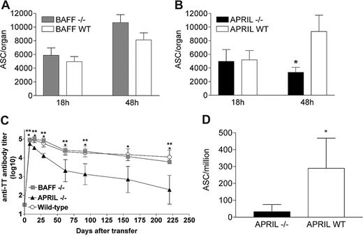 Figure 1. APRIL is critical for the in vivo survival of BM plasmablasts. (A) Adult C57BL/6 mice were primed by intraperitoneal injection of TT/AlOH + CpG1826 and boosted 5 weeks later with TT/AlOH. Four days after boosting, splenocytes were harvested and transferred (100 × 106 per recipient mouse) into adult C57BL/6 BAFF−/− or WT recipients. Eighteen and 48 hours later, mice were killed and TT-specific IgG ASCs quantified by ELISpot in the BM compartment. Results are expressed as ASCs per organ (mean ± SD) obtained in one experiment including 4 mice per group and representing 2 independent experiments. (B) Adult C57BL/6 mice were primed by intraperitoneal injection of TT/AlOH + CpG1826 and boosted 5 weeks later with TT/AlOH. Four days after boosting, splenocytes were harvested and transferred (100 × 106 per recipient mouse) into adult C57BL/6 APRIL−/− or WT recipients. Eighteen and 48 hours later, mice were killed and TT-specific IgG ASCs quantified by ELISpot in the BM compartment. Results are expressed as ASCs per organ (mean ± SD) obtained in one experiment including 4 mice per group and representing 3 independent experiments. *P < .05 versus adult WT mice. (C) In an independent experiment, sera from adoptive transfer recipients C57BL/6 APRIL−/−, BAFF−/−, or WT adult mice were harvested at different time points after transfer and TT-specific antibody titer was determined by ELISA. *P < .05 WT versus APRIL−/−; **P < .05 BAFF−/− versus APRIL−/−. (D) APRIL−/− and C57BL/6 control mice were immunized as described in “Antigens, adjuvants, and immunizations” and TT-specific IgG ASCs were quantified by ELISpot in the BM 7 days after boost. Results are expressed as ASCs per million (mean ± SD) obtained in 2 experiments including 6 to 10 mice per group *P < .05 versus adult WT mice.