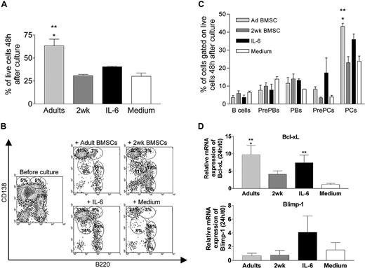 Figure 4. Adult enriched BMSCs support plasmablast survival. (A-C) Purified PBs (5 × 103) were added on adult enriched BMSCs or 2-week enriched BMSCs, or incubated with medium or IL-6. (A) The viability of recovered cells was analyzed by FACS 48 hours after culture using propidium iodide exclusion. Results are expressed as the mean (± SD) of 4 independent cultures per condition. *P < .05 versus 2-week enriched BMSCs. **P < .05 versus medium. (B) FACS panels for expression of B220 and CD138 for one culture per each condition representing 4 independent cultures. Percentages of each subset gated on live cells are shown on the plots. (C) Percentage of each subset gated on live cells determined by FACS staining as described in panel A. Results are expressed as the mean (± SD) of 4 independent cultures per each condition. *P < .05 versus 2-week enriched BMSCs. **P < .05 versus medium. (D) The expression of Bcl-XL and Blimp-1 by PBs was evaluated by quantitative real-time RT-PCR at onset (ex vivo) and after 24 hours of culture. Results are expressed as the fold change of transcript expression for each condition of culture compared with t0 (mean ± SD) obtained from 3 independent cultures each representing a pool of 10 mice. *P < .05 versus 2-week enriched BMSCs. **P < .05 versus medium.