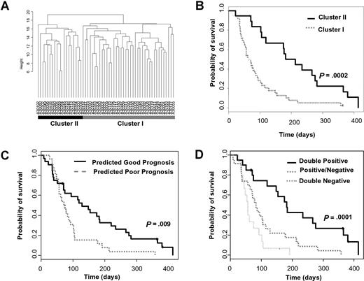Figure 2. RASGRP1/APTX is independent of the Bullinger prognostic classifier. (A) AML samples from 58 relapsed or refractory patients (including 4 patients with stable disease) were ordered according to hierarchic clustering using 93 probe sets that correspond to 75 of the 133 prognostic genes identified by Bullinger et al. Patients in cluster II are predicted to have a good prognosis. (B) Kaplan-Meier survival estimates of the hierarchic cluster–defined groups of patients. The median overall survival is 213 and 64 days for the good and poor prognostic subgroups, respectively. (C) The overall survival of the relapsed or refractory AML patient population stratified by the Bullinger CCP diagnostic classifier. The median overall survival is 128 and 73 days for the predicted good- and poor-prognosis patients, respectively. (D) The overall survival of patients stratified by both the Bullinger CCP prognostic classifier and the RASGRP1/APTX gene-expression ratio. “Double positive” patients are those who were predicted to both have a good prognosis and respond to tipifarnib. “Double negative” patients are those who are predicted to have a poor prognosis and be resistant to tipifarnib. “Positive/negative” patients are those who are predicted to either have a good prognosis and be resistant to tipifarnib or have a poor prognosis and respond to tipifarnib. The median overall survival was 182 days for “double positive” patients, 83 days for “positive/negative” patients, and 56 days for “double negative” patients, respectively (double positive vs positive/negative groups, P = .003; double negative vs positive/negative groups, P = .06).