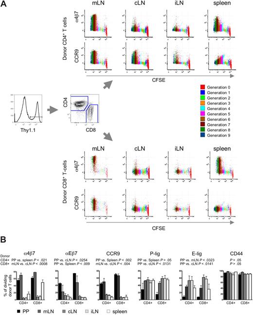 Figure 1. Differential homing receptor expression by alloreactive T cells in anatomic distinct priming sites. CFSE-labeled allogeneic FVB/N-L2G85 (H-2q, Thy1.1) splenocytes were transplanted into myeloablative conditioned Balb/c recipients (H-2d, Thy1.2). On day 3 after aHCT, immediately before alloreactive T cells enter aGVHD target organs, cells were isolated from different SLOs for phenotypic comparison by flow cytometry. (A) Representative staining of α4β7 integrin and CCR9 on in vivo primed Thy1.1+ donor CD4+ T cells (top) and CD8+ T cells (bottom). Alloreactive T cells had undergone several cell divisions (color encoded) and markedly up-regulated α4β7 integrin and CCR9 after 5 cell divisions predominantly in mLN and spleen (1 of 4 representative experiments is shown). (B) Bar graphs depict percentage of dividing donor T cells expressing peripheral homing receptors. Of note, intestinal-associated lymphoid organs (PP, mLN) up-regulated mucosal-associated homing receptors, whereas pLNs (cLN and iLN) displayed more pronounced skin homing receptor expression (E-lig, P-lig). Most of the dividing cells in all SLO are CD44+. Cells were pooled from 5 mice, 3 independent experiments were performed. Bars depict means plus or minus SD.