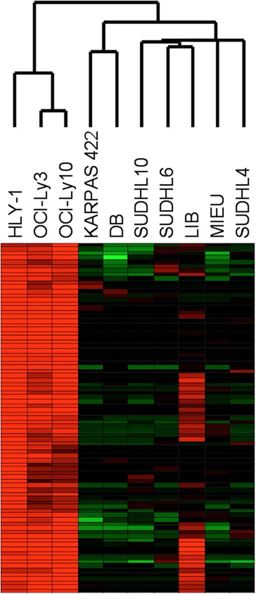 Figure 3. Gene expression analysis. Hierarchic cluster (83 probe sets) highlighting gene expression differences among the cell lines OCI-Ly3, OCI-Ly10, and HLY-1 (ABC DLBCL cell lines); Karpas 422, DB, SUDHL10, SUDHL6, MIEU, and SUDHL4 (GCB DLBCL cell lines), and LIB (non-ABC cell line, which expressed the GCB markers CD10 and BCL6 together with the ABC marker IRF4).