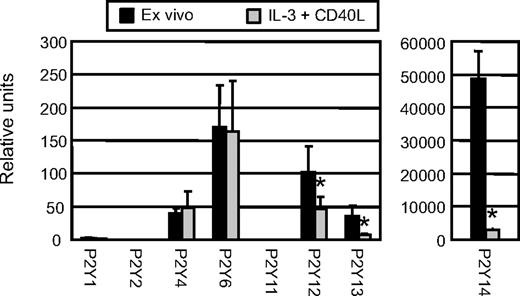 Figure 1. Expression of P2Y receptor mRNA in human PDCs. PDCs were isolated from PBMCs at high purity (> 95%) and mRNA was extracted immediately after isolation (ex vivo) or after 24-hour culture in the presence of IL-3 and CD40L to induce phenotypic PDC maturation. Profiles of P2Y receptor expression were generated by real-time RT-PCR. Results (mean ± SEM) of 3 independent experiments are given as relative units after normalization for differences to expression of the housekeeping gene HPRT. *P < .05.
