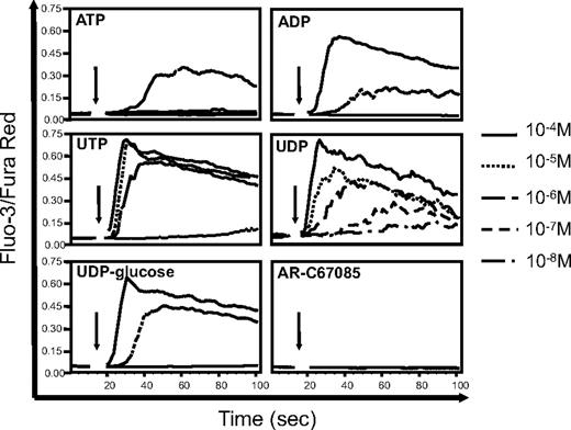 Figure 2. Ca2+ signaling in PDCs in response to various P2Y receptor agonists. Ca2+ ion transients in freshly isolated PDCs exposed to ATP, ADP, UTP, UDP, UDP-glucose, and the P2Y11 agonist AR-C67085 were analyzed by flow cytometry. After establishing a baseline for 10 seconds, nucleotides were added at the indicated concentrations. Note: Only for UDP, the concentration was titrated down to 0.01 μM. Data were normalized to the peak calcium signal induced by a standard dose of ionomycin (arbitrarily set to 1.0). Representative data of 4 different experiments are shown.