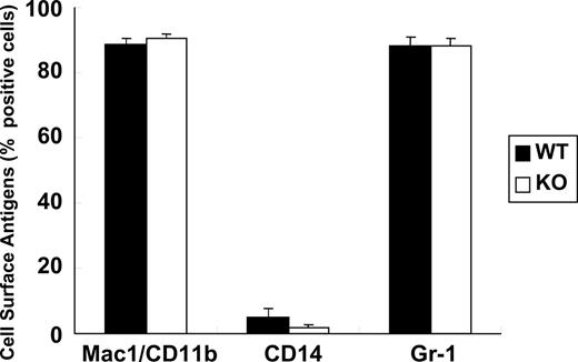 Figure 1. Myeloid lineage analysis of bone marrow cells. Bone marrow cells were isolated from wild-type (WT; n = 4) and C/EBPβ-deficient (KO; n = 4) adult mice, stained with fluorescent-labeled antibodies against myeloid lineage-specific antigens (Mac1/CD11b, CD14, and Gr-1), and analyzed by flow cytometry. Results represent the mean plus or minus SD of 4 mice in each cohort.