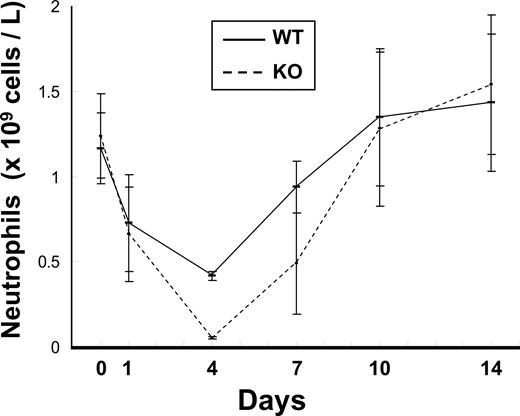 Figure 5. Neutrophil counts in mice after 5-FU treatment. 5-FU (150 mg/kg) was given intraperitoneally to the wild-type and C/EBPβ-deficient mice. Blood samples were taken from the ocular sinus at 0, 1, 4, 7, 10, and 14 days, and neutrophils were counted. Black and broken lines show their mean plus or minus SD results from wild-type and C/EBPβ-deficient mice, respectively.