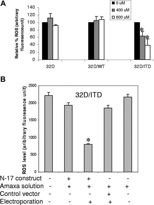 Figure 3. Inhibition of RAC1 activity decreases ROS production in 32D/ITD cells. (A) Inhibition of ROS production by a RAC1 inhibitor (NSC23766). RAC1 inhibitor was used at the concentrations of 400 μM and 600 μM overnight. The inhibition was represented by the percentage fluorescence unit, compared with the untreated cells. (B) 32D/ITD cells transfected with dominant negative RAC1 (N-17) resulted in significant decrease in ROS production. Transfection with vector controls show no significant changes in ROS. The error bars represent plus or minus SEM.