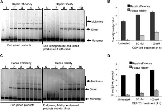 Figure 6. Inhibition of ROS production increased end-joining efficiency and fidelity. Nuclear extracts of cells treated with CEP-701 show increased end-joining efficiency and fidelity. (A) MOLM-14 nuclear extracts were used in in vitro end-joining assay using a plasmid cut with restriction enzyme SmaI. The photomicrograph shows increased repair efficiency (lanes 4,5) and fidelity (lanes 9,10) in FLT3-inhibited extracts. Left side of the gel shows efficiency, and on the right side end-joined products were recut with restriction enzyme, SmaI, used for initial cutting. Experiments were performed in duplicate. Lanes 1 and 6: negative controls; lanes 2 and 7: ligation was performed with T4 ligase; lanes 3 and 8: ligation was performed with nuclear extracts from untreated cells; lanes 4 and 9: ligation was performed with nuclear extracts from cells treated with 50 nM CEP-701; and lanes 5 and 10: ligation was performed with nuclear extracts from cells treated with 100 nM CEP-701. (B) Graphic representation of the end-joining experiment in panel A. More end-joined products were observed in CEP-701–treated samples than untreated ones. In addition, an increased amount of correctly end-joined products were observed in CEP-701–treated samples. (C,D) Similar experiments as performed for panels A,B were performed with MV-4-11 cells. The black bars represent efficiency of repair, and the gray bars represents fidelity of repair (ie, percentage of product cut by the restriction enzyme). The error bars represent plus or minus SEM.