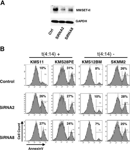 Figure 7. Depletion of MMSET affects myeloma cell viability. (A) KMS11 cells transduced by nucleoporation with a control shRNA or 2 shRNA constructs directed against MMSET were grown in culture for 5 days, sorted for GFP expression, lysed, and immunoblotted with anti-MMSET antibody. (B) t(4;14)-positive and t(4;14)-negative myeloma cell lines were nucloeporated with the indicated shRNA, grown in culture for 5 days, and stained for annexinV expression. Histograms of annexin V staining of GFP+, propidium iodine-negative cells are displayed along with the percentage of cells staining positive for annexin V.
