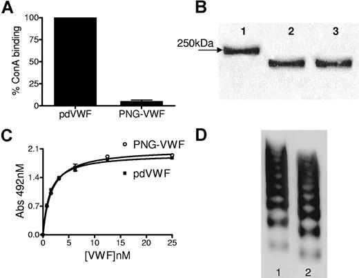 Figure 1. Analysis of PNGase F digested VWF. (A) Equal amounts of digested and nondigested VWF diluted in PBS were coated overnight at 4°C onto microtiter plates and N-linked glycans detected with concanavalin A diluted 1/1000 in Tris-buffered saline, pH 7.4, supplemented with 1 mM CaCl2. Error bars represent mean and SD. (B) Reducing 7% SDS-PAGE analysis of denatured and nondenatured VWF digested with PNGase F. Nondigested VWF (lane 1), nondenatured VWF (lane 2), and denatured VWF (lane 3). (C) Binding of pdVWF and PNG-VWF to immobilized type III collagen. (D) Multimer analysis of PNGase F-digested VWF in 1.6% agarose multimer gels. pdVWF (lane 1); PNG-VWF (lane 2).