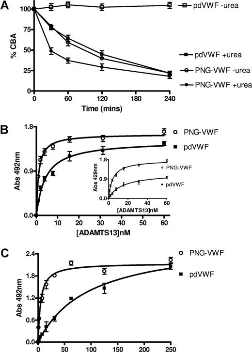 Figure 2. The interaction of ADAMTS13 with PNG-VWF. (A) VWF (5 μg/mL) was incubated with 10 nM ADAMTS13 in 5 mM CaCl2, 50 mM NaCl, and 20 mM Tris-HCl (pH 7.8) in the presence and absence of 1.5 M urea. At various time points, subsamples were taken and the reaction was stopped with EDTA, and the extent of proteolysis was determined by CBA. (B) MaxiSorp plates, coated with 7.5 μg/mL VWF, were incubated with decreasing concentration of ADAMTS13. Bound ADAMTS13 was detected with either pAb(-Tsp2-4) (main graph) or pAb Tsp2-4 (inset). (C) VWF was captured to the microtiter plate using a monoclonal anti-VWF antibody directed against the C-terminal SpII fragment. Captured VWF was incubated with decreasing concentration of ADAMTS13 and bound ADAMTS13 detected with pAb(-Tsp2-4). Error bars represent mean and SD.