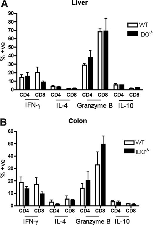 Figure 6. Effector phenotype of donor T cells in target organs is not changed by IDO. B6 or IDO−/− mice were lethally irradiated and infused with Balb/c TCD BM and 3 × 106 CD4+ and CD8+ T cells. At 21 days after transplantation, T cells were isolated from colons and livers, stimulated with plate-bound anti-CD3 for 4 hours, and stained for IFN-γ, IL-4, granzyme B, and IL-10; n = 4 mice/group. No significant differences were observed.