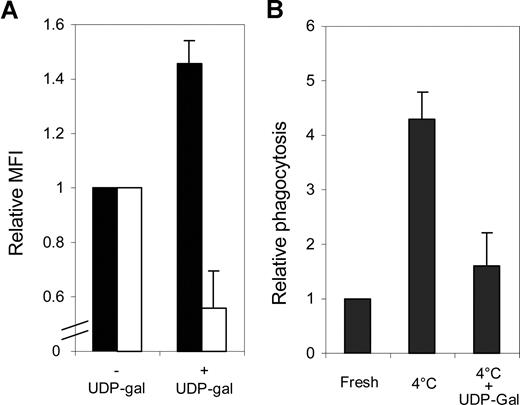 Figure 1. Documentation of galactosylation of human platelets. (A) Human apheresis platelets were galactosylated by incubation with UDP-galactose. Apheresis platelets from 12 collections were incubated with 1.2 mM UDP-galactose for 1 hour at 37°C and characterized by FACS with fluorescently labeled lectins RCA-1 (■) and sWGA (□) recognizing penultimate β-galactose and βGlcNAc, respectively. Incubation with UDP-galactose resulted in an increase in RCA-1 binding and a decrease in sWGA binding (right columns) compared with platelets incubated without UDP-galactose (left columns). Data are shown as relative MFI (mean fluorescence intensity) plus or minus 1 standard deviation (SD) with the value for the nonglycosylated platelets set at 1. (B) Galactosylation inhibits the phagocytosis of human platelets stored at 4°C for 48 hours by differentiated THP-1 cells expressing MAC-1 (αMβ2 integrin receptor). The in vitro phagocytosis of fresh human platelets by THP-1 cells was set at 1. Comparisons were made between the in vitro phagocytosis of cold-stored (4°C) platelets with and without pretreatment with UDP-galactose (n = 3, ± 1 SD indicated by error bars).