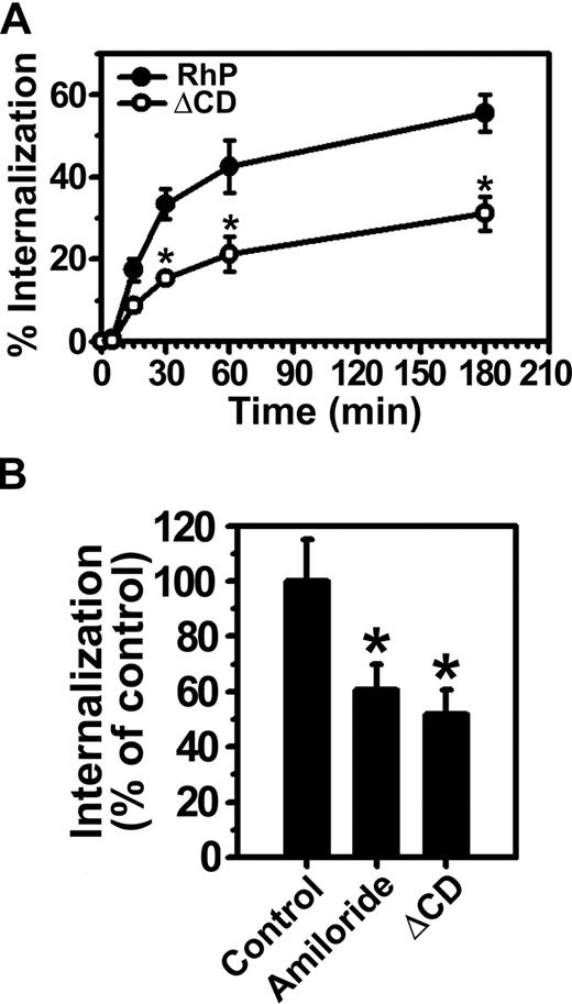 Figure 3. Internalization of anti-PECAM/NCs is inhibited in PECAM-1 ΔCD cells. (A) The kinetics of internalization of FITC-labeled anti-PECAM/NCs by REN cells transfected with human wild-type PECAM-1 (RhP) (●), and PECAM-1 lacking the cytoplasmic domain (ΔCD) (○) was determined by fluorescence microscopy after counterstaining surface nanocarriers with a Texas red secondary antibody. Internalization was quantified as the percentage of internalized anti-PECAM/NCs relative to total number of nanocarriers associated per cell. The percentage of internalized anti-PECAM/NCs was significantly lower for ΔCD cells at each time point (*P < .001). (B) Anti-PECAM/NC uptake was assessed in RhP and ΔCD cells incubated with either control media or media containing amiloride, an inhibitor of CAM-mediated endocytosis. Internalization was calculated as in panel A and normalized to RhP control cells. Data are mean plus or minus SD (n ≥ 25 cells; *P < .001).