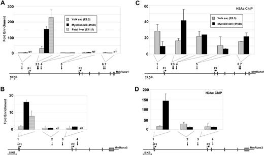 Figure 4. Scl occupies the Runx3 promoter and a Runx1 candidate enhancer in vivo. Real-time PCR analysis of ChIP performed with anti Scl (A,B) and antiacetylated histone 3 (C,D) antibodies. The y-axis represents enrichment over that obtained with a rabbit IgG antibody. The x-axis represents the coordinates at the mouse Runx1 (A,C) and Runx3 (B,D) gene loci where the conserved E-boxes are depicted by numbered arrows. NT indicates not tested. Error bars represent SD.