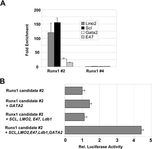 Figure 7. The SCL/Lmo2/Gata-2 complex binds to and activates Runx1 and Runx3. Real-time PCR analysis of 416B ChIP material showing enrichment for the Runx1 #2 (A) candidate element. Runx1 #4 region was included as a negative control (B). The Runx1 #2 element can be transactivated by a multiprotein complex containing SCL, LMO2, E47, Ldb1, and GATA2. Transactivation assays were performed in Cos cells as described in “Transactivation assay” and were internally controlled by cotransfection of pEF-BOS-lacZ. Error bars represent SD.