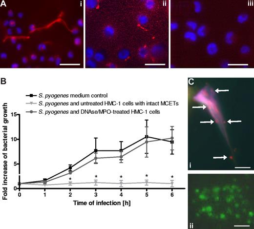 Figure 4. Intact MCs extracellular traps are required for effective growth inhibition of S pyogenes. (A) Immunostaining with Alexa-red–labeled antibodies against histones of (i) intact MCETs or (ii) disrupted MCETs after treatment with DNAse and myeloperoxidase (bars, 10 μm). (iii) Isotype control antibody (bar, 10 μm). The nucleus of MCs was stained with Dapi (blue). (B) Growth of S pyogenes after coculture with MCs treated with DNAse and MPO to dismantle extracellular trap structures, untreated MCs, or in medium without MCs supplemented with DNAse and MPO. Data are expressed as x-fold increase in bacterial growth with respect to the original inoculum. Each point represents the mean plus or minus SD of 3 independent experiments. *P < .05 by F-test for S pyogenes growth in the presence of untreated HMC-1 cells versus growth of S pyogenes in the presence of DNAse/MPO-treated HMC-1 cells. (C) Analysis of viable (green) versus dead (red) bacteria entrapped in MCETs (i) or grown in medium control (ii) as determined by the LIVE/DEAD BacLight Bacterial Viability assay (bars, 3 μm).