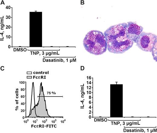Figure 5. Dasatinib inhibits IgE-dependent production/secretion of IL-4 in mouse basophils. (A) Cultured mouse basophils preincubated with TNP-specific IgE, were exposed to control medium (containing DMSO) or to TNP (3 μg/mL) in the presence or absence of dasatinib (1 μM) as indicated, for 24 hours. Then, cells were centrifuged and the cell-free supernatants recovered and examined for the content of IL-4 by ELISA. Panel A shows a typical experiment performed with impure cells. Results representing the means (± SD) from triplicates. (B) Enriched sorted basophils stained with Wright-Giemsa stain. Acquisition of figures was performed by an Olympus DP11 camera connected to an Olympus BX50F4 microscope equipped with 100×/1.35 UPlan-Apo objective lenses (Olympus, Hamburg, Germany). Images were processed with Adobe Photoshop software version 7.0 (Adobe Systems, San Jose, CA). Magnification ×100. (C) Flow cytometric detection of the IgE receptor on enriched basophils using IgE and an anti-IgE antibody. As visible, the purity of IgE receptor–positive basophils amounted to more than 70%. (D) Effects of dasatinib on IL-4 production/secretion in sorted mouse basophils (conditions as in A). Results represent the means (± SD) from triplicates.
