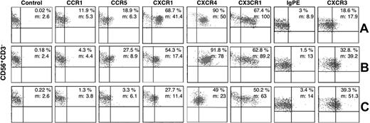 Figure 6. Chemokine receptor expression on pbNK cells cocultured with ST decidual cells. pbNK cells from first-trimester pregnant women were cocultured with ST cells grown in the presence of progesterone (100 nM) (C) or with control medium (B) for 36 hours at 37°C. After incubation, chemokine receptor expression on gated CD56+CD3− NK cells was analyzed. Control represents staining with FITC-conjugated GAM or GARB Abs. (A) Staining for the chemokine receptor expression on NK cells at the start of the experiment. Data are representative of 4 independent experiments. Percentages of total cells within the quadrant and the mean fluorescent intensity (m) are shown on the plots.