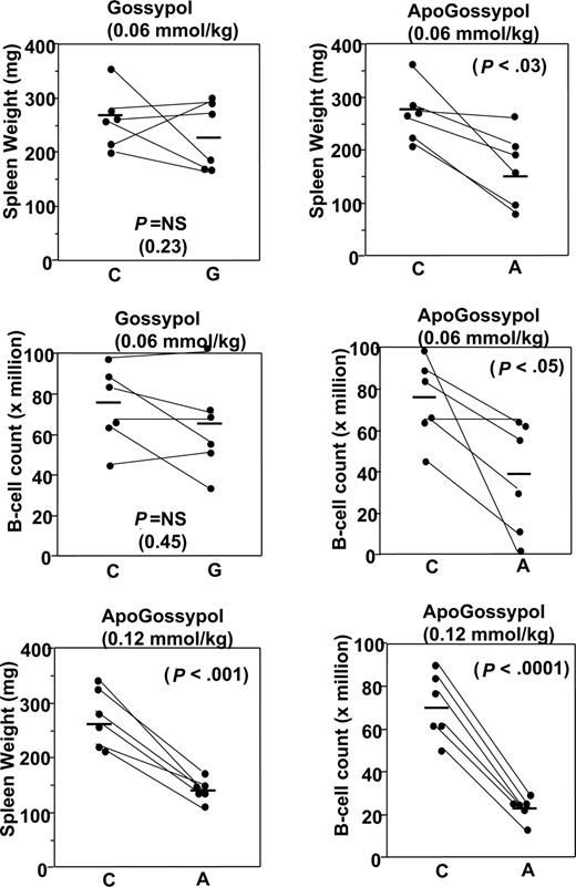Figure 7. Comparison of in vivo activity of apogossypol and gossypol in Bcl-2–transgenic mice. Pairs of age-matched (starting ages ranged from 39 to 73 weeks), sex-matched Bcl-2–transgenic mice were orally administered vehicle control (C) and either apogossypol (A) or gossypol (G), at either 60 μmol/kg or 120 μmol/kg (as indicated), 5 times weekly for 3 weeks. At conclusion of treatment, mice were killed and spleens removed and weighed (top), then splenocytes were isolated and analyzed by FACS to determine the number of B cells, typically using either B220 or CD19 as B-cell markers (bottom).