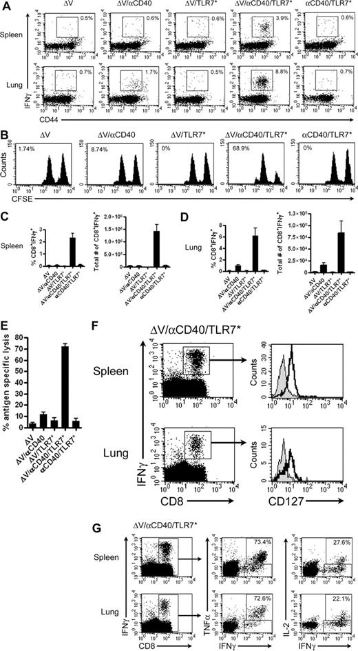 Figure 2. In contrast to CD40 monotherapy, CD40/TLR7* therapy rescues CD8+ memory T-cell function. Mice were immunized with 100 μg each of ΔV peptide, αCD40, and S-27609 in combinations as indicated. Memory CD8+ functionality was assessed 65 days later. (A) Representative dot plots of IFNγ secretion by memory CD8+ T cells isolated from spleens and lungs of vaccinated mice. Dot plots are gated on live CD8+ cells, and numbers indicate the percentage of cells positive for both IFNγ and CD44. (B) Memory CD8+ T-cell cytolytic activity was assessed by performing an in vivo cytotoxicity assay. Numbers reflect the percentage of antigen-specific lysis. (C,D) Quantification of relative and absolute numbers of memory CD8+ cells expressing IFNγ in the spleen (C) and lung (D). Absolute numbers of positive cells were determined by multiplying the relative percentage of each cell population by the total number of cells isolated from each tissue. (E) Quantification of the in vivo cytotoxicity assay presented in panel B. P ≤ .001 by one-tailed ANOVA. (F) CD127 expression on IFNγ+-memory CD8+ T cells derived from spleens or lungs of vaccinated mice. Isotype controls are shown as filled histograms. (G) Cytokine production by memory CD8+ T cells. Cells from panel F were analyzed for the ability to produce TNFα and IL-2. Numbers reflect the percentage of CD8+IFNγ+ cells that also are positive for TNFα or IL-2. In all cases, data are pooled from at least 2 independent experiments with 4 or more mice/group per experiment and plotted as means (± SEM).
