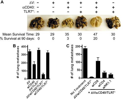 Figure 3. αCD40/TLR7* therapeutic intervention slows progression of metastatic melanoma. C57BL/6 mice were challenged with 105 metastatic B16.F10 melanoma cells intravenously. Four days later, mice were vaccinated with 100 μg of the tumor-associated antigen ΔV, 100 μg αCD40 FGK45, and 100 μg S-27609 in combinations as indicated. After 24 days, mice were killed, lungs were removed, and metastatic surface tumor nodules were enumerated with the aid of a dissecting microscope. (A) Photograph of macroscopically visible tumor nodules on lungs of mice, 24 days after tumor challenge. Numbers below the lungs reflect the mean survival time and long-term survival rate of mice monitored for therapeutic efficacy. Data are pooled from 3 to 4 independent experiments with greater than 8 mice per group in each experiment. (B) Enumeration of lung metastases. Data are pooled from 2 independent experiments and are presented as means plus or minus SEM (n = 16 mice in each group). Data are representative of more than 4 separate experiments with at least 6 mice in each group. (C) Enumeration of lung metastases after effector cell depletion. Mice were treated as above except for the depletion of effector cell populations prior to tumor challenge as described in “Methods.” The data are expressed as means plus or minus SEM (n = 8 mice in each group) and are representative of 3 independent experiments.
