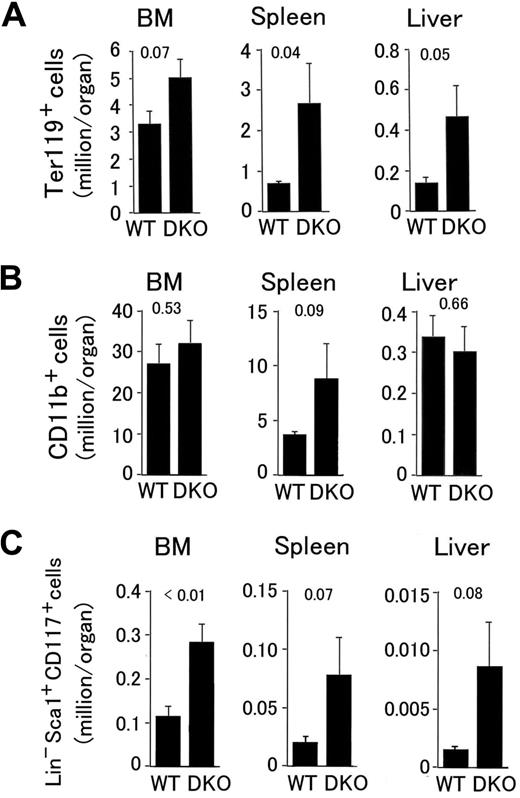 Figure 3. Flow cytometry analyses of hematopoietic progenitors in Phd1/3 DKO mice. (A) Erythroid (Ter119+); (B) myeloid (CD11b+); (C) HSC (Lin− Sca-1+ CD117+). Bone marrow (BM), spleen, and liver samples were analyzed. Total cell numbers in each organ are shown; n = 6 to 7. P values are indicated above the bars. Error bars represent SEM.