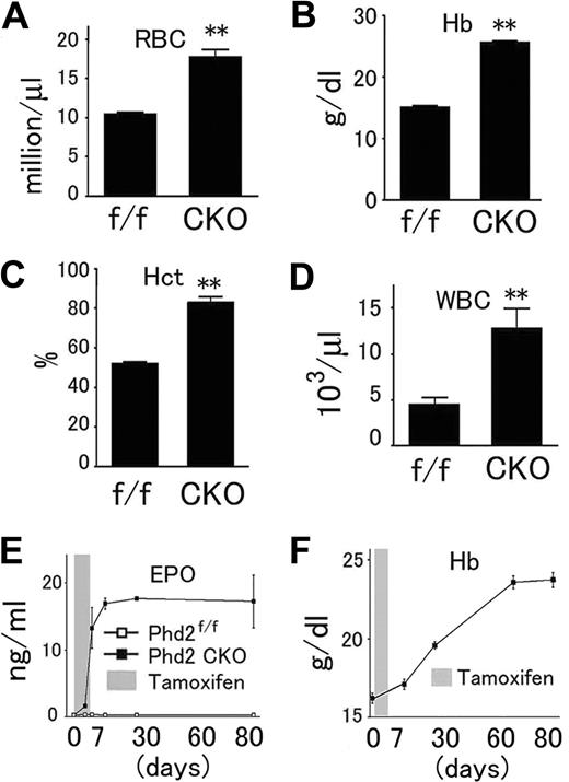 Figure 4. Abnormal hematologic parameters of peripheral blood from Phd2 CKO mice. (A-D), Phd2 CKO and Phd2f/f control mice were all treated with tamoxifen at 6 weeks of age and analyzed after another 6 weeks. Red blood cells, hemoglobin concentrations, hematocrit values, and white blood cells were all significantly increased. n = 6. **, P < 0.01. (E) Time course of serum Epo level increases as measured by ELISA. n = 3 at each time point. (F) Time course of increases in hemoglobin concentration. n = 3 at each time point. Error bars represent SEM.
