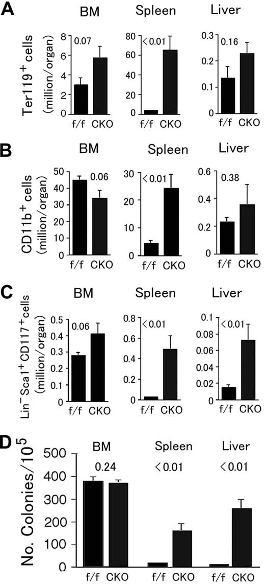 Figure 5. Analysis for hematopoietic progenitors and hematopoietic stem cells in Phd2 CKO mice. (A-C) Flow cytometry analyses. (A) Erythroid (Ter119+); (B) myeloid (CD11b+); (C) HSC (Lin− Sca-1+ CD117+). Bone marrow (BM), spleen, and liver samples were analyzed. Total cell numbers in each organ are shown. n = 6 to 7. P values are indicated above the bars. (D) Methylcellulose colony formation assay. Genotypes are indicated at the bottom. f/f and CKO refer to Phd2f/f and Phd2 CKO mice, respectively. Number of colonies per 105 cells are presented, n = 6; P values are indicated in the figure. Error bars represent SEM.