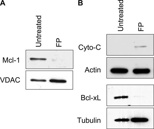 Figure 5. Mechanistic analysis of mitochondrial damage in CLL cells. (A) CLL cells were treated with or without 1.0 μM FP (6 hours), and mitochondrial and cytosolic fractions were isolated. (B) Mcl-1 levels in mitochondria relative to the control protein VDAC, and (C) Bcl-XL and cytochrome c in cytosolic fractions were analyzed by immunoblot. Data represent 3 independent experiments.