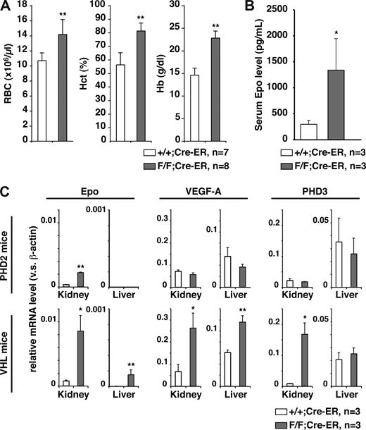 Figure 3. PHD2 loss causes severe polycythemia. (A) Hematologic parameters and (B) serum erythropoietin (Epo) levels in 10-week-old PHD2+/+;Cre-ER (+/+) and PHD2 flox/flox;Cre-ER (F/F) mice after treatment with tamoxifen at E17.5 and at 3 weeks of age. (C) Real-time RT-PCR analysis for the indicated mRNAs from PHD2 conditional knockout (F/F) mice treated as in panels A and B. *P < .05; **P < .01. Error bars indicate 1 SD.