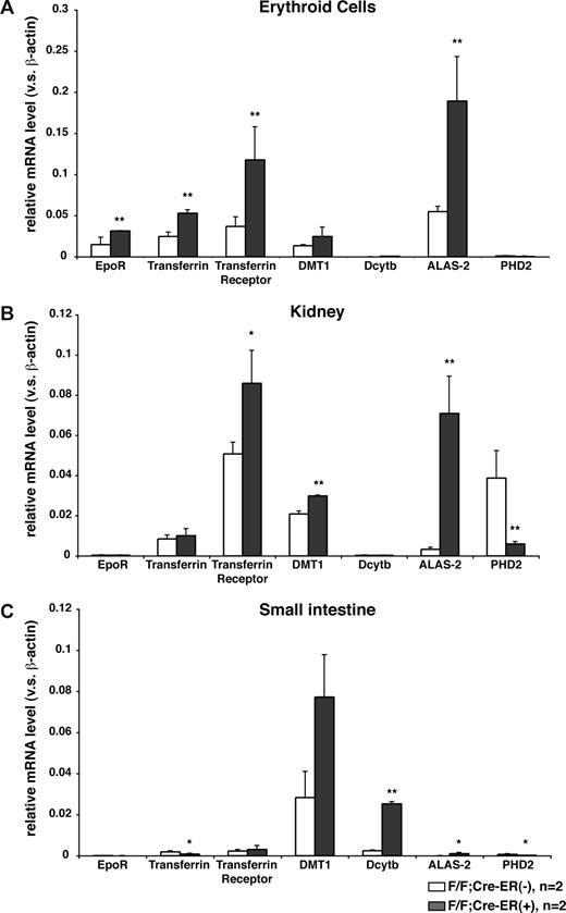 Figure 4. Induction of erythropoietic mRNAs in mice lacking PHD2. Real-time RT-PCR analysis for indicated mRNAs in erythroid lineage cells (A), kidneys (B), and small intestines (C) from 12-week-old PHD2 flox/flox;Cre-ER (−) and PHD2 flox/flox;Cre-ER (+) mice after treatment with tamoxifen at E17.5 and at 3 weeks of age. *P < .05; **P < .01. Error bars indicate 1 SD.