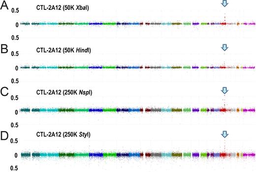 Figure 2. Whole genome association scans performed with pooled DNA generated based on immunophenotyping with CTL-2A12. Pooled DNAs generated from 44 CTX+ and 44 CTX− B-LCLs were analyzed with 50 K XbaI (A), 50 K HindIII (B), 250 K NspI (C), and 250 K StyI (D) arrays. Test statistics were calculated for all SNPs and plotted in the chromosomal order. In all SNP array types, a common association peak is observed at 18q21, to which the minor H antigen for CTL-2A12, encoded by the HMSD gene, had been mapped based on expression cloning9 (arrows).