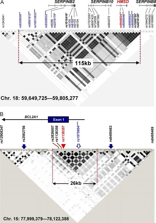 Figure 3. Linkage disequilibrium (LD) block mapped by CTL-2A12 and CTL-1B9. (A) An LD block map identified by pairwise r2 plot from HapMap CEU data are overlayed with SNPs available from Affymetrix GeneChip SNP-genotyping microarrays (arrows) and 4 genes in the 115 kb block. SNPs that emerged repeatedly in the 2 independent experiments are indicated in blue. The genomewide P values for positive SNPs are shown as follows: *P < .05; **P < .01; ***P < .001. The intronic SNP (rs9945924) controlling the alternative splicing of HMSD transcripts and expression of encoded ACC-6 minor H antigen is indicated in red. (B) LD blocks identified by pairwise r2 plot from HapMap JPT data are overlayed with SNPs available from Affymetrix GeneChip SNP-genotyping microarrays (arrows) and exon 1 of the BCL2A1 gene. The only SNP showing a high association with CTL-1B9 immunophenotypes (rs1879894) is shown as an open arrow. The nonsynonymous SNP (rs1138357) controlling the expression of the minor H antigen recognized by CTL-1B9 is indicated by a red arrowhead. ***SNP with genomewide P < .001. The 2 SNPs adjacent to the 26 kb LD block (rs2562756 and rs6495463) never gave a significant genomewide P value.