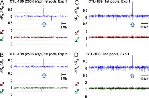 Figure 4. Reproducible detection of association with the immunophenotypes determined by CTL-1B9 at the BCL2A1 locus. The maximum test statistic value was observed at a single SNP (rs1879894) within 15q25.1 in duplicate experiments for the first pools consisting of 57 CTX+ and 38 CTX− B-LCLs (A-C). The peak association at the same SNP was reproduced in the experiments with the second pools consisting of 75 CTX+ and 34 CTX− LCLs (D). Test statistic values (ΔRAΔRB) are plotted by blue lines together with their RA (red) and RB (green) values. The expected ΔRAΔRB values multiplied by r2 correlation coefficients for the adjacent SNPs within 500 kb from the SNP rs1879894 are overlaid by red lines (A,B).