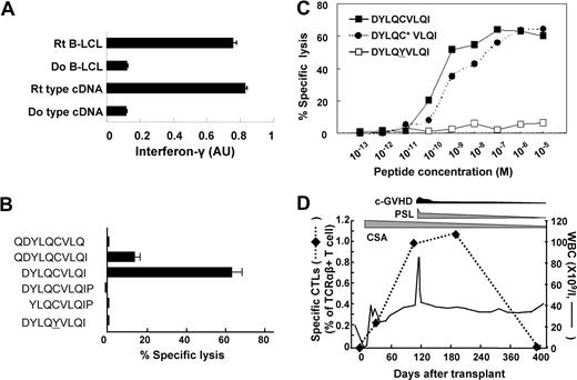 Figure 5. Identification of the CTL-1B9 minimal minor H epitope. (A) Interferon-γ production from CTL-1B9 against HLA-A*2402–transduced 293T cells transfected with plasmid encoding full-length BCL2A1 cDNA cloned from either the recipient (Rt) from whom CTL-1B9 was isolated or his donor (Do). Rt B-LCL and Do B-LCL were used as positive and negative controls, respectively. Secreted interferon-γ was measured by ELISA and is expressed in arbitrary units (AUs) corresponding to optical density at 630 nm. Results are typical of 2 experiments and data are the mean plus or minus SD of triplicates. (B) A peptide reconstitution assay was conducted to determine the minimal epitope for CTL-1B9. Nonameric peptide (DYLQCVLQI), 2 nonameric peptides shifted by one amino acid to N- or C-terminus, N- and C-terminal extended decameric peptides, and its allelic counterpart (DYLQYVLQI) were synthesized and tested by adding to antigen-negative donor B-LCL at 10 nM in a standard 51Cr release assay. Results are typical of 2 experiments and data are the mean plus or minus SD of triplicates. (C) Titration of the candidate minor H peptide by epitope reconstitution assay. Chromium-labeled donor B-LCLs were distributed to wells of 96-well round-bottomed plates, pulsed with serial dilutions of the indicated peptides for 30 minutes at room temperature, and then used as targets for CTL-1B9 in a standard 51Cr release assay. A cysteinylated peptide (indicated by an asterisk) was included as an alternative form of the potential epitope. Results are typical of 2 experiments. (D) Tracking of ACC-1C–specific T cells in the recipient's peripheral blood. In order to longitudinally analyze the kinetics of the ACC-1C–specific CTLs in peripheral blood from the patient from whom CTL-1B9 was established, a real-time quantitative PCR was conducted. Complementary DNAs of peripheral blood mononuclear cells from the donor and patient before and after HSCT were prepared from the patient. Real-time PCR analysis was performed using a TaqMan assay as described previously.9 The primers and fluorogenic probe sequences spanning the CTL-1B9 complementarity-determining region 3 (CDR3) were used to detect T cells carrying the CDR3 sequences identical to that of CTL-1B9. The primers and fluorogenic probe sequences spanning constant region of TCR beta chain (TCRBC) mRNA were used as internal control. Samples were quantified with the comparative CT method. The delta CT value was determined by subtracting the average CT value for TCRBC from the average CTL-1B9 CDR3 CT value. The standard curve for the proportion of CTL-1B9 among TCRαβ+ T cells was composed by plotting mean delta CT values for each ratio, and the percentages of T cells carrying the CDR3 sequence identical to CTL-1B9 were calculated by using this standard curve. During this period, quiescent chronic GVHD, which required steroid treatment, developed; however, involvement of immune reaction to ACC-1C minor H antigen was unlikely since its frequency increased even after resolution of most chronic GVHD symptoms. c-GVHD, chronic GVHD; CSA, cyclosporine A; PSL, prednisolone; WBC, white blood cell count.