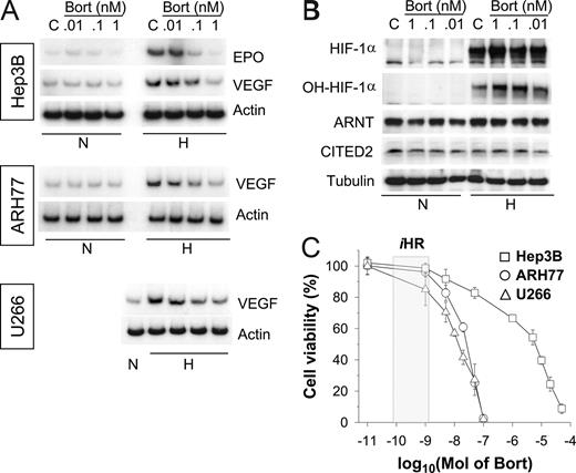 Figure 1. Bortezomib inhibits the hypoxic induction of EPO and VEGF in both MM and non-MM cells. (A) Effects of bortezomib on the hypoxic induction of EPO or VEGF mRNA. Hep3B, ARH77, and U266 cells were incubated under normoxic (N) or hypoxic (H) conditions for 16 hours in the presence of various concentrations of bortezomib (Bort). Total RNAs were extracted, and EPO, VEGF, and β-actin mRNA were analyzed by semiquantitative RT-PCR. (B) Effects of bortezomib on expressions of HIF-1 subunits. Under normoxic or hypoxic conditions for 16 hours, Hep3B cells were lysed in a denaturing SDS sample buffer, and HIF-1α, ARNT, and β-tubulin proteins were analyzed by Western blotting. The data shown are representative of 3 separate experiments. (C) Chemosensitivity to bortezomib. Cell viabilities were measured using an MTT-labeling method, as described in “Chemosensitivity assays.” Hep3B (□), ARH77 (○), and U266 (△) cells were treated with various concentrations of bortezomib for 48 hours. Points represent the means plus or minus SD of 6 experiments. The iHR box indicates the concentration range showing inhibited hypoxic responses.