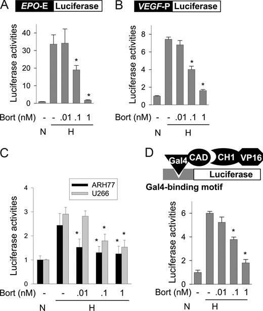 Figure 2. Bortezomib represses HIF-1 activity by inhibiting p300 binding to HIF-1α. (A,B) EPO enhancer or VEGF promoter activity in Hep3B cells. Luciferase reporter plasmids (0.5 μg of DNA) containing Epo enhancer (A) or VEGF promoter (B) were cotransfected with 0.5 μg of plasmid cytomegalovirus–β-gal into Hep3B cells. After incubation under normoxic or hypoxic conditions for 16 hours with bortezomib, luciferase activities were measured using a Biocounter M1500 luminometer (Lumac, Bad Wildbad, Germany), and transfection efficiencies were normalized versus β-gal activity. (C) EPO enhancer activity in MM cells. Luciferase reporter plasmids (1 μg) containing EPO enhancer were cotransfected with 1 μg of plasmid cytomegalovirus–β-gal into ARH77 or U266 cells. After a 16-hour normoxic or hypoxic incubation with bortezomib, luciferase activity/β-gal activity was measured. (D) Mammalian 2-hybrid assay of HIF-1α CAD-p300 binding. Hep3B cells were cotransfected with 1 μg of Gal4-luciferase reporter, 1 μg of pGal4-CAD, and 0.5 μg of pVP16-CH1. The cells were incubated under normoxic or hypoxic conditions with bortezomib for 16 hours, and then lysed to determine luciferase activity. All results are presented as relative values versus the normoxic control, and are plotted as means plus or minus SEs of 8 experiments. *P < .05 versus the hypoxic control.