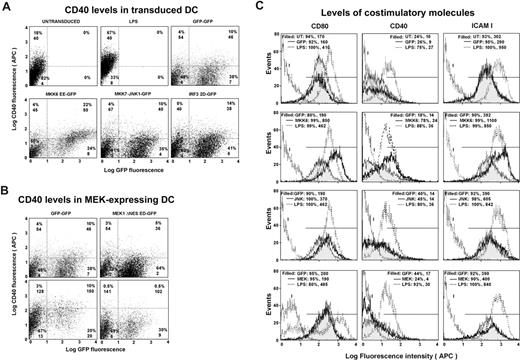 Figure 2. Expression of MAPK constitutive activators differentially regulates DC maturation phenotype. BM-derived DCs were transduced with dual lentivectors and grown for 6 days at 37°C. Surface staining was performed for each DC marker. (A) Dot plots from flow cytometric analyses for CD40 in DCs transduced with the indicated lentivectors (top of each panel). CD40 APC fluorescence levels (y-axis) were represented as a function of GFP fluorescence (x-axis). Quadrants were established based on fluorescence of the isotype control in untransduced cells. Percentage of cells and mean fluorescence intensities are indicated in each quadrant. LPS represents DCs treated with LPS 24 hours before staining. (B) Dot plots from flow cytometric analyses for CD40 as shown in panel A. The 2 top panels represent DCs transduced with lentivectors encoding only GFP (left) or lentivectors encoding MEK1 ΔNES ED using the same settings as in panel A. The 2 bottom panels represent DCs transduced with the lentivectors shown in the top, but measured on a more sensitive flow cytometry (FACS) setting to visualize CD40 down-regulation on both transduced and nontransduced cells. (C) Histograms from dot plots as shown in panel A gated on GFP-positive transduced DCs. The number of events is represented as a function of log fluorescence intensity for the DC markers shown. I indicates the distribution from the isotype control. The horizontal line indicates the cells considered to be positive, which is set to exclude 95% of cells stained with the isotype control. Percentage of positive DCs and mean fluorescent intensities are indicated within each histogram, for DCs transduced with lentivectors encoding the indicated activators. The first row of histograms show untransduced DCs (UT, filled histogram), DCs transduced with a control lentivector only expressing GFP (GFP, thin line), and DCs treated with LPS (LPS, dotted line). The second row shows histograms from DCs transduced with lentivectors encoding only GFP (GFP, filled histogram), expressing MKK6EE (MKK6, thin line), or treated with LPS (dotted line). The third row shows histograms from DCs transduced with a control lentivector expressing GFP (GFP, filled histogram), expressing MKK7-JNK1 (JNK, thin line), or treated with LPS (dotted line). The fourth row shows histograms from DCs transduced with a control lentivector expressing GFP (GFP, filled histogram), expressing MEK1 ΔNES ED (MEK, thin line), or treated with LPS (dotted line).