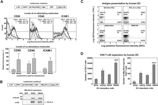 Figure 7. MKK6EE expression enhances human (hu)DC maturation and expands MELAN-A–specific CD8 T cells in vitro. (A). The structure of the lentivector constructs used for transduction of huDCs is shown on top. The ubiquitin promoter and IiOVA gene were replaced with the CMV promoter and GFP gene. Human DCs were transduced with dual lentivectors coexpressing MKK6EE with GFP and grown for 6 days at 37°C. Surface staining was performed for the indicated DC marker. Histogram plots gated on GFP-positive transduced DCs are shown. The number of events is represented as a function of log fluorescence intensity for the DC markers shown. I indicates the distribution from the isotype control. The horizontal line indicates the cells considered to be positive, which is set to exclude 95% of cells stained with the isotype control. Percentage of positive DCs and mean fluorescent intensities are indicated within each histogram. LPS indicates huDCs treated with LPS overnight previous to surface staining. GFP indicates huDCs transduced with lentivectors encoding only GFP. Levels of DC maturation markers were estimated from 3 independent experiments by surface staining and flow cytometry, as shown in the histograms above. Mean fluorescent intensities for each marker from GFP-expressing transduced huDCs were represented as percentages compared with levels after LPS treatment. Means are shown as column graphs with error bars (SD), for the indicated markers within the graph. Lentivectors encoding the indicated activators used for transductions are shown on the bottom of the graphs. Selected statistical comparisons between indicated samples and GFP-expressing huDCs are shown. *, significant differences (P < .05). (B) The structure of the lentivector constructs used for transduction of huDCs is shown on top. The ubiquitin promoter and IiOVA gene were replaced with the CMV promoter and MELAN-A gene. Expression of the indicated activators and MELAN-A was confirmed by immunoblot using FLAG-specific or HA-specific antibodies, as indicated on the left. kDa, kilodaltons. (C) Dot-plots from CD8 T cell cultures representing fluorescence intensity from APC-conjugated MELAN-A–specific MHC I pentamer as a function of CD8 fluorescence intensity in logarithmic scale. These T cell cultures were stimulated with immature huDCs loaded with MELAN-A peptide, cytokine-matured peptide-loaded huDCs and huDCs transduced with lentivectors coexpressing MKK6 K82A or MKK6EE with MELAN-A, as shown within each graph. The percentage of events within each quadrant and the absolute number of CD8 T cells are shown. (D) The graph on the left shows CD8 T cell numbers in cultures with the indicated huDC stimulator cells. The graph on the right shows MELAN-A–specific CD8 T-cell numbers in cultures with the indicated huDC stimulator cells. Each column represents the mean from 3 independent DC-lymphocyte cultures with error bars (SD). Relevant statistical comparisons are shown within each graph between the indicated samples and CD8 T-cell expansion by cytokine-matured peptide-loaded huDCs, and highly significant (***P < .001) differences are shown in the graphs. iDCp indicates immature huDCs loaded with class I MELAN-A peptide; mDCp indicates cytokine-matured huDCs loaded with class I MELAN-A peptide; K82A represents huDCs coexpressing MKK6 K82A with MELAN-A; MKK6 represents huDCs coexpressing MKK6 EE with MELAN-A.