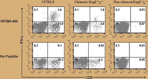 Chimeric Rag2−/−γc−/−mice generate peptide-specific T cells after LCMV infection, and hematopoietic progenitor cell (HPC)–derived antigen-presenting cells (APCs) are capable of presenting viral-specific peptide to T cells. See the complete figure in the article beginning on page 2953.