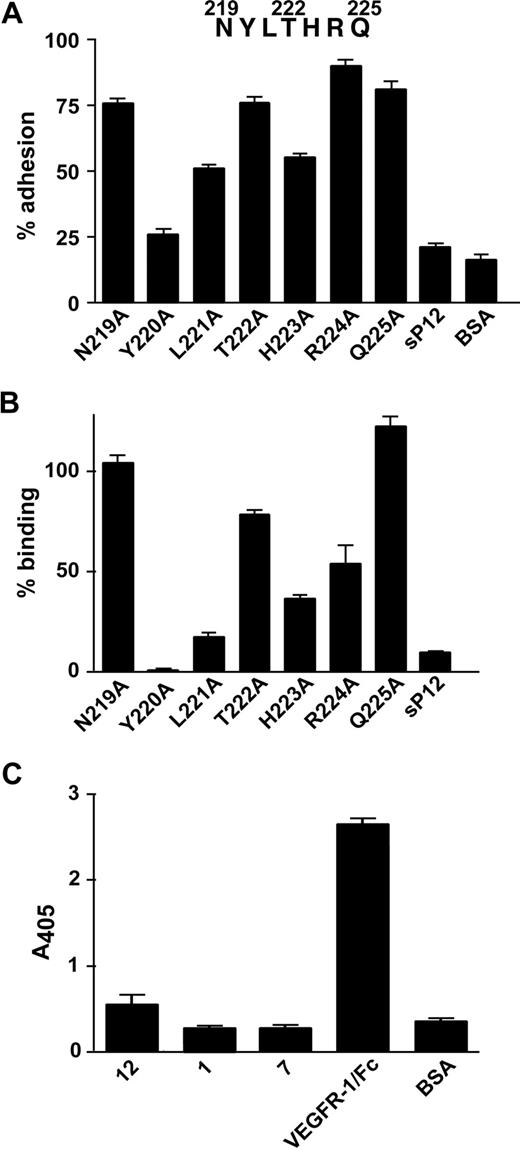 Figure 4. Alanine substitution in peptide 12. (A) Peptides whose sequence differs from that of peptide 12 for the substitution of one residue with Ala were covalently linked to microtiter plates. A “scrambled” version of peptide 12 (sP12) and BSA, as a negative control, were also tested. HUVECs were added to the plates and allowed to adhere. Results are expressed as percentage of cell adhesion observed on peptide 12-coated plates. (B) Purified α5β1 integrin was added to wells coated with the same peptides as in panel A, and bound integrin was detected by using an anti-α5β1 antibody and a colorimetric assay. Data are expressed as percentage of protein binding on peptide 12-coated plates. (C) Biotinylated VEGF-A was added to wells coated with peptide 12, 1, 7, VEGFR-1/Fc, as a positive control, or BSA, as a negative control. The amount of attached VEGF-A was quantified by incubation with streptavidin alkaline phosphatase-conjugated and a colorimetric assay. Representative experiments performed in triplicate are shown; data are mean plus or minus SEM.