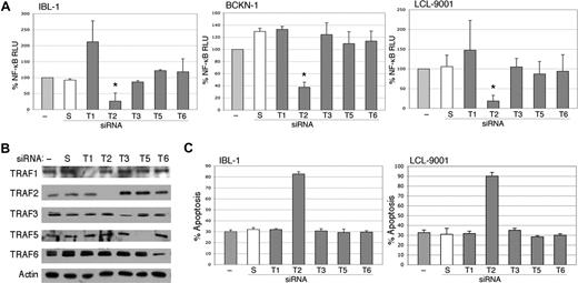 Figure 5. Inhibition of endogenous TRAF2 by siRNA abolishes activation of NF-κB. (A) IBL-1, LCL-9001, and BCKN-1 cells were transfected with a NF-κB luciferase reporter plasmid and with either siRNA to TRAF1 (T1), TRAF2 (T2), TRAF3 (T3), TRAF5 (T5), or TRAF6 (T6), or scrambled (S) siRNA, or were mock transfected (−), and protein extracts were prepared 48 hours later. Luciferase assays were performed and values shown are averages (+ sem) of the combination of 2 independent experiments in which each transfection was performed in triplicate, and are presented as percentage change of relative luciferase values compared with untransfected cells. siRNA to TRAF2 resulted in marked reduction of NF-κB activity, but variable or no effect was seen on suppression of TRAF1, TRAF3, TRAF5, or TRAF6. The change of NF-κB activity in TRAF2 siRNA–transfected cells, compared with mock-transfected cells, was statistically significant (*P < .005). (B) To confirm effective and selective knockdown of each TRAF protein, immunoblot analysis using these extracts was performed using antibodies to the TRAFs indicated at the left of each panel. Actin reprobing was performed for all the blots to confirm even protein loading. (C) IBL-1 and LCL9001 cells were transfected with siRNA to the various TRAFs as in panel A at days 0, 2, and 4, and assessment of apoptosis performed by annexin V staining at day 6. Bars represent the average number of annexin V–positive cells (+ SEM) of an experiment in which each transfection and analysis was performed in triplicate.