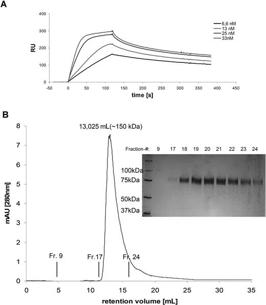 Figure 3. Biochemical properties of scFv-Fc-Rnase. (A) Plasmon resonance. Overlay plot of various concentrations (scFv-Fc-RNase, 6.6–33 nM) were applied on CM5 chip with immobilized recombinant CD30-Fc. Samples volumes of 50 μL were injected at a flow rate of 25 μL/minute. Control flow cell was immobilized with lysozyme to observe unspecific protein protein interaction. (B) Size exclusion chromatography on a calibrated Superdex-200. The single peak at 13.03 mL corresponds to a molecular mass of 150 kDa. Fractionated samples were analyzed by SDS-PAGE (10%; reducing conditions, silver staining).