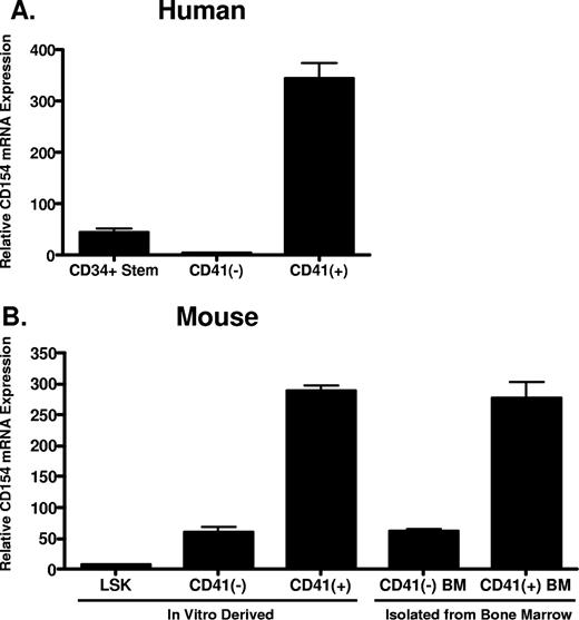 Figure 1. CD154 mRNA expression in primary hematopoietic progenitor cells and megakaryocytes. (A) Relative CD154 mRNA levels in primary human CD34+ hematopoietic progenitor cells, the CD41-negative and CD41-positive cell populations after in vitro differentiation as described in “In vitro differentiation of human CD34+ and mouse LSK hematopoietic progenitor cells.” (B) Relative CD154 mRNA expression in mouse hematopoietic stem cells (LSK), the CD41-positive and -negative cell populations after in vitro differentiation, and primary CD41-positive and -negative cells isolated from mouse bone marrow. The bars represent means plus or minus the standard error from 3 independent experiments.