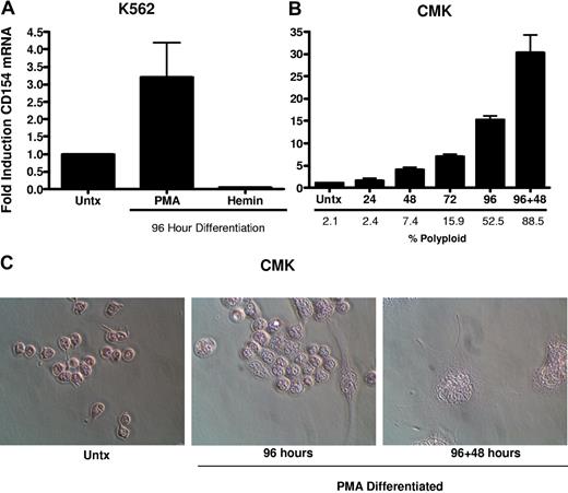 Figure 4. CD154 expression is differentiation dependent and restricted to the megakaryocyte phenotype. (A) Relative CD154 mRNA expression in K562 cells driven to megakaryocyte or erythrocyte differentiation with PMA or hemin, respectively. (B) Kinetics of CD154 mRNA expression in PMA-differentiated CMK cells. After 96 hours of PMA exposure, the CMK cells were harvested, washed, and replated in fresh medium in the absence of PMA and allowed to incubate an additional 48 hours (96 + 48). The bars represent means plus or minus the standard error from 3 independent experiments. (C) Micrographs of CMK cells after the described treatment. Original magnification 250× for all panels.